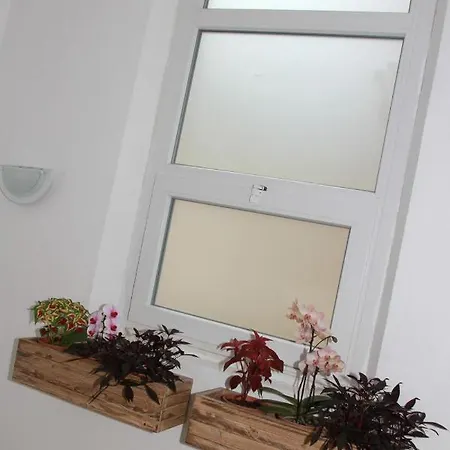 Arlotti * Ρίμινι